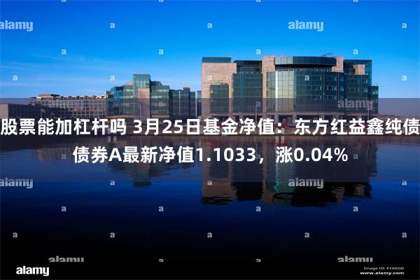 股票能加杠杆吗 3月25日基金净值：东方红益鑫纯债债券A最新净值1.1033，涨0.04%
