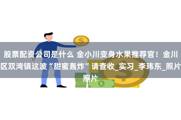 股票配资公司是什么 金小川变身水果推荐官！金川区双湾镇这波“甜蜜轰炸”请查收_实习_李玮东_照片