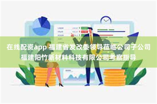 在线配资app 福建省发改委领导莅临公司子公司福建阳竹新材料科技有限公司考察指导
