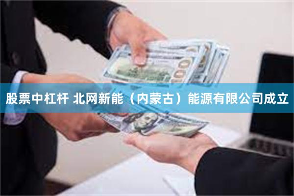 股票中杠杆 北网新能（内蒙古）能源有限公司成立